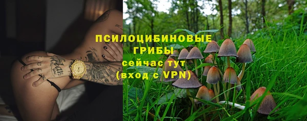 амф Белокуриха