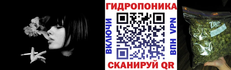 Канабис семена Будённовск